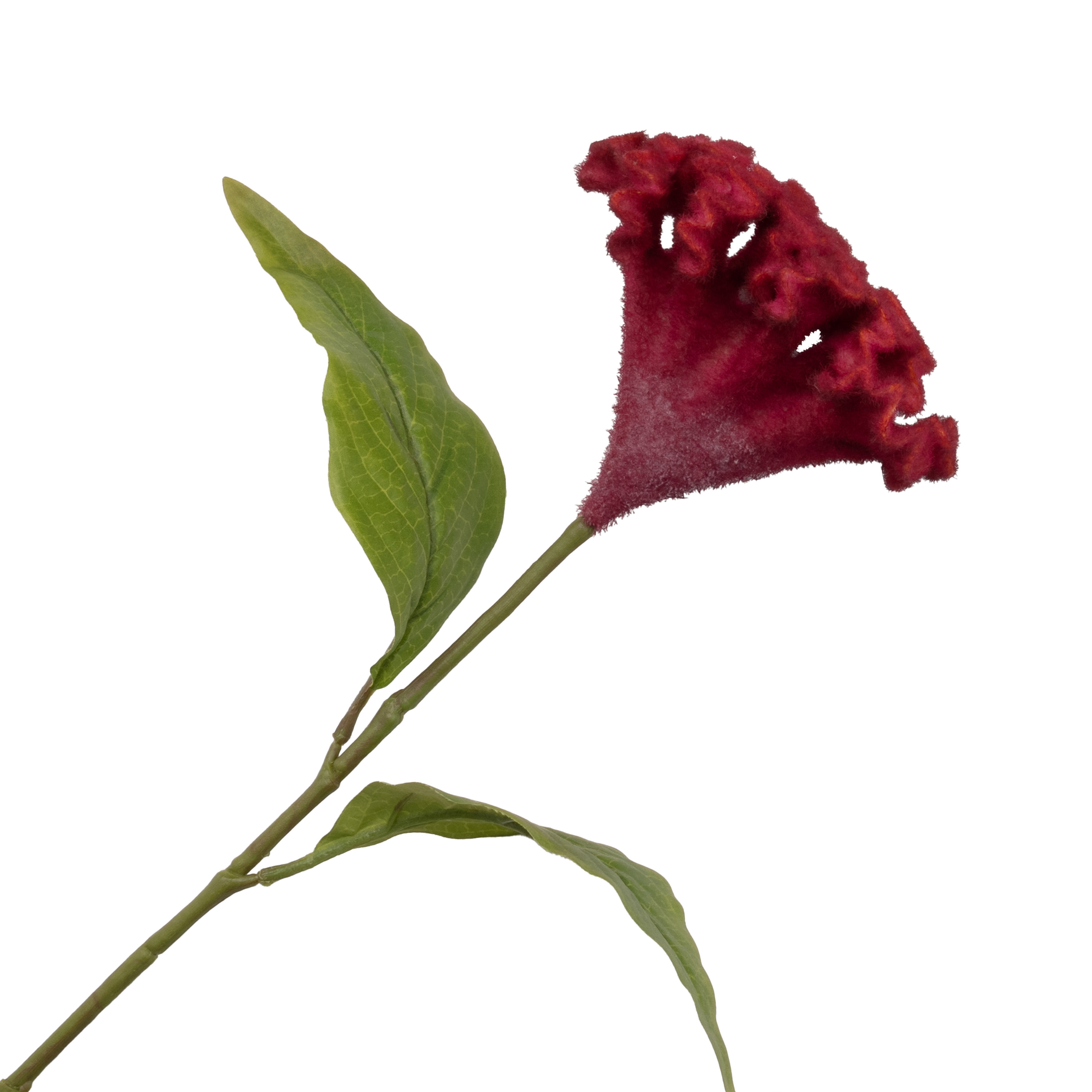 Artificial celosia